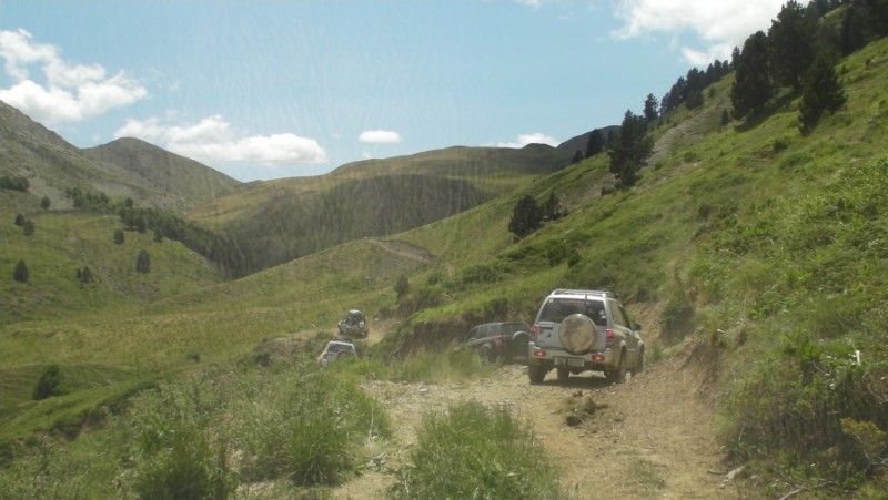 SANY0175.jpg