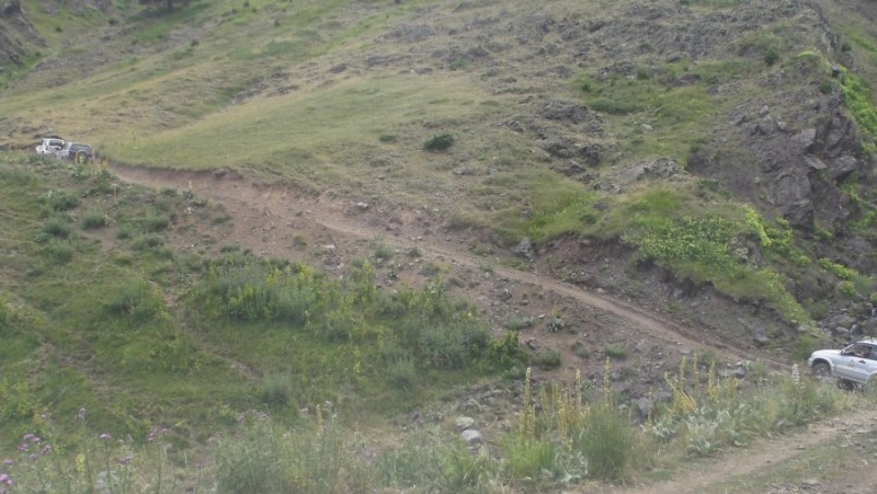 SANY0217.jpg