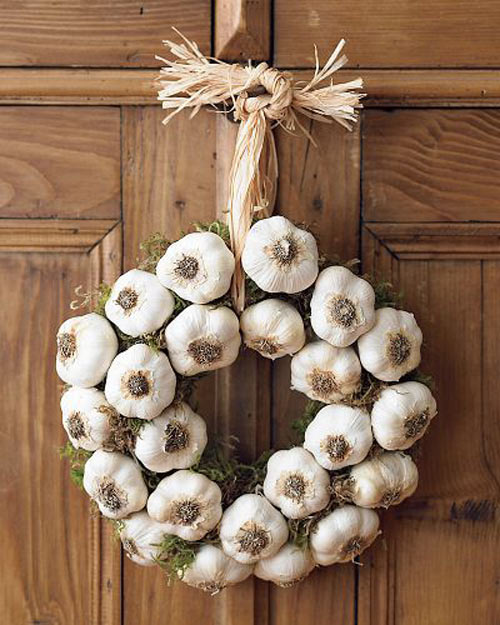 seed---.garlic.jpg