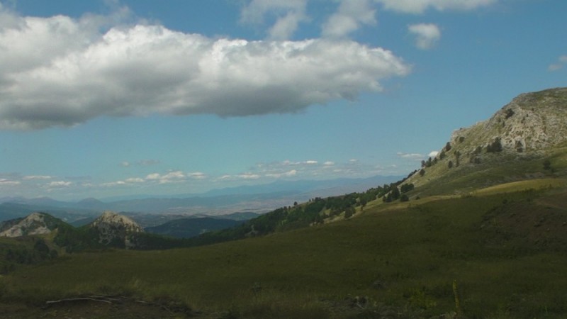 SANY0233.jpg