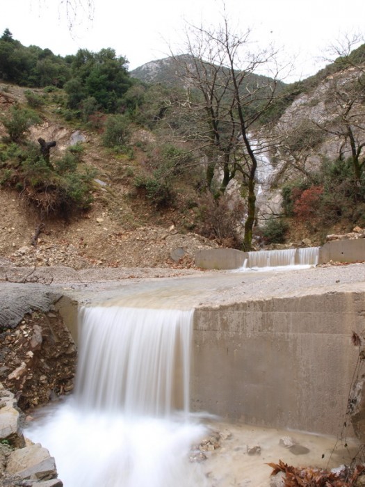 P1025989.jpg