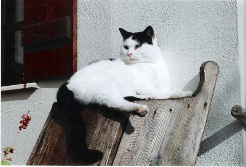 scan0002b.jpg