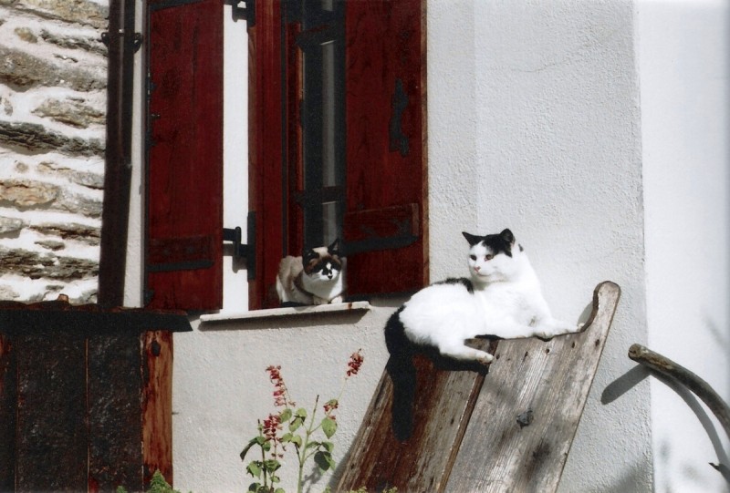 scan0004b.jpg