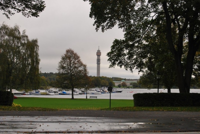 DSC_0039.jpg