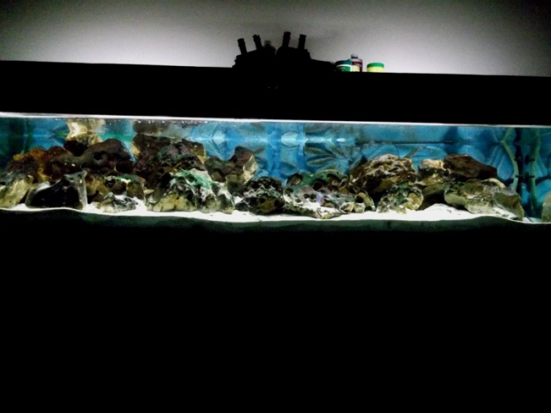 DSCF0520.jpg