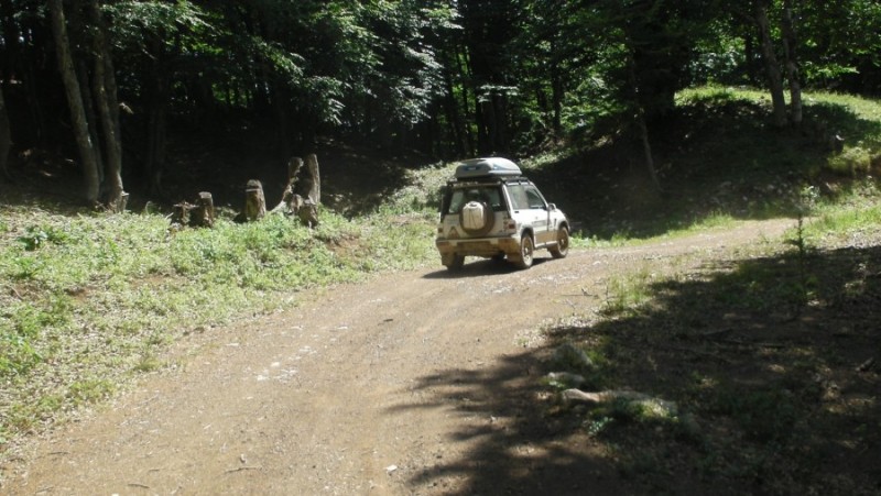 SANY0323.jpg