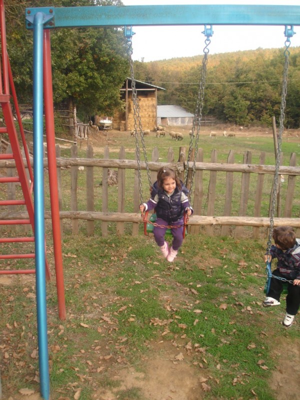 DSC03004.jpg