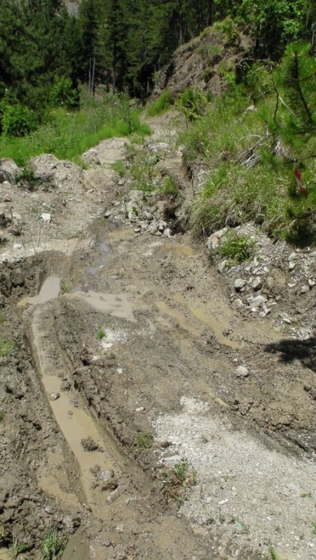 SANY0389.jpg