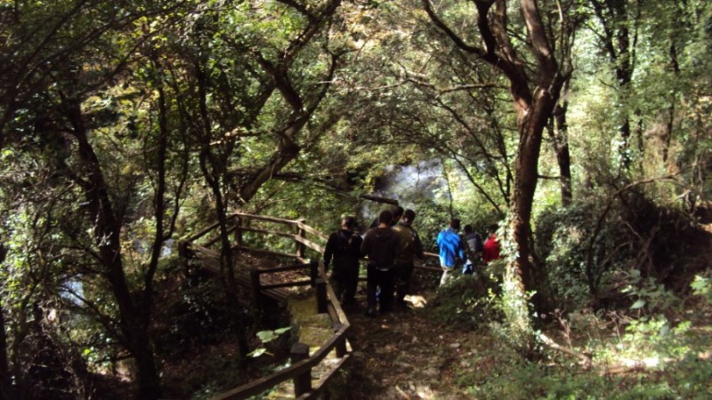 DSC02612.jpg
