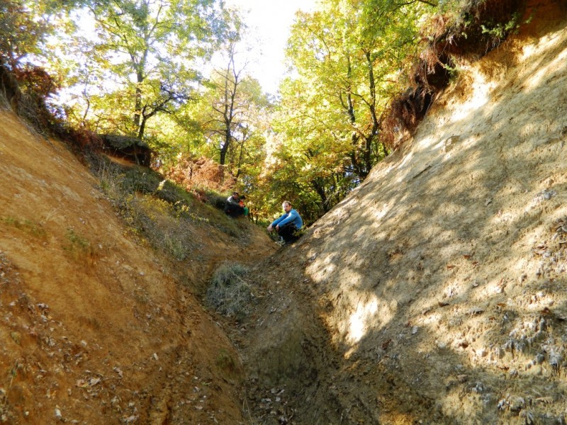 DSCN1016.JPG