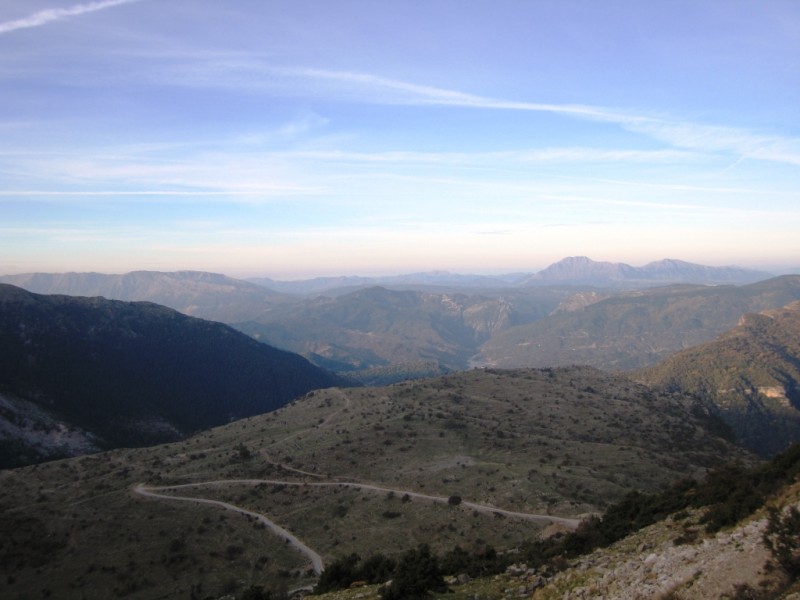 IMG_1145.JPG