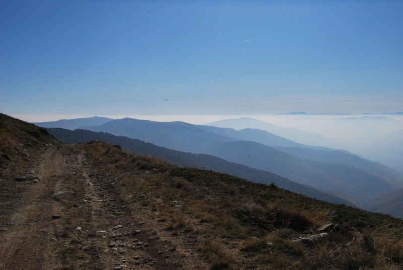 DSC_0320.jpg