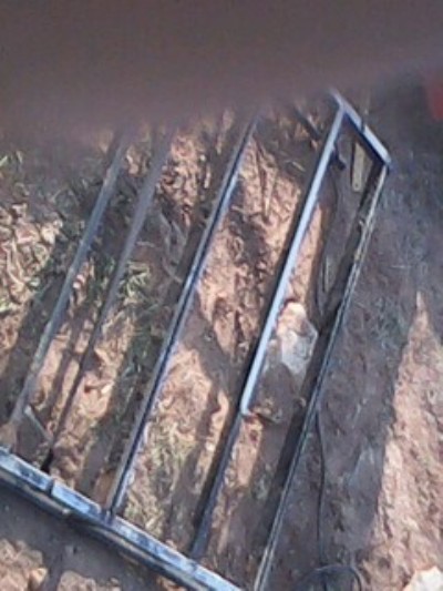 IMG0053A (400 x 533).jpg