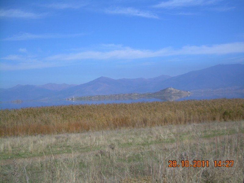 DSCN2104.jpg
