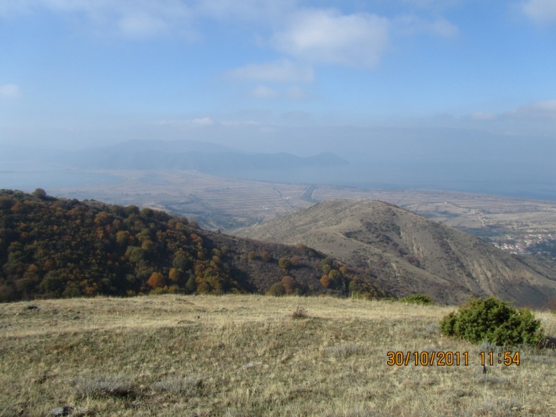 IMG_0711.jpg