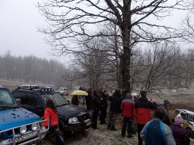 DSC00037.jpg