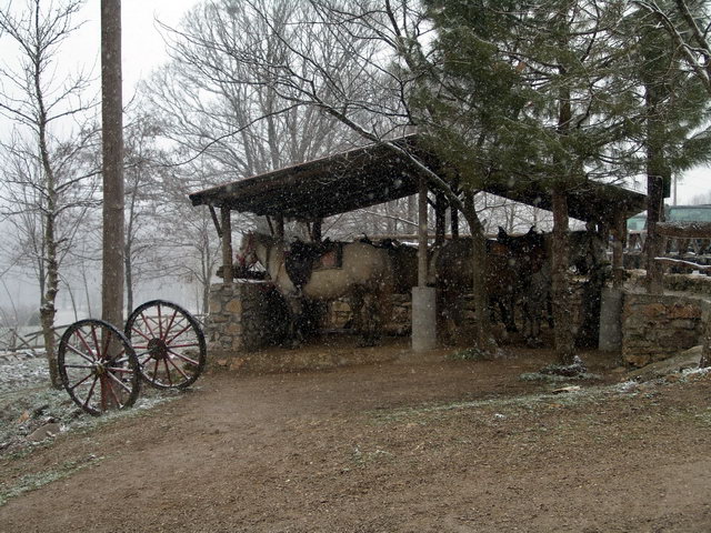 DSC00045.jpg