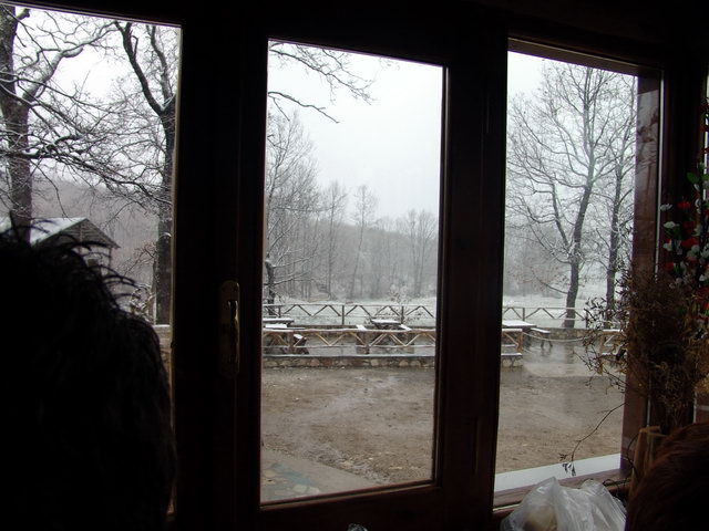 DSC00049.jpg