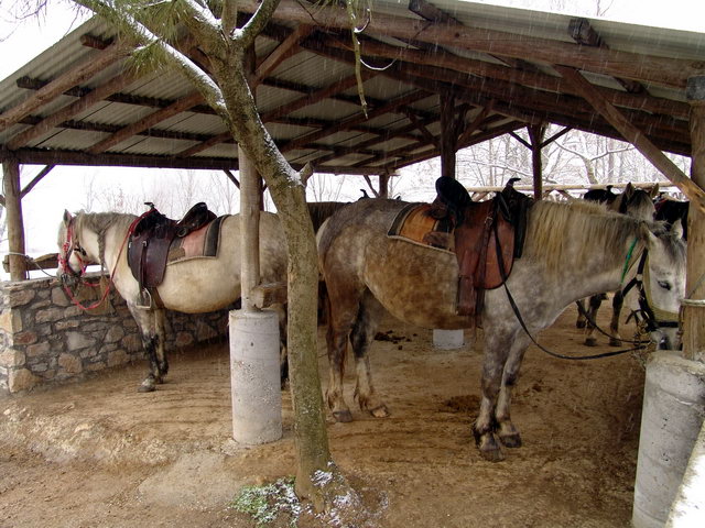 DSC00052.jpg