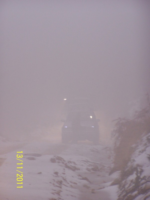 100_9923-tn.JPG