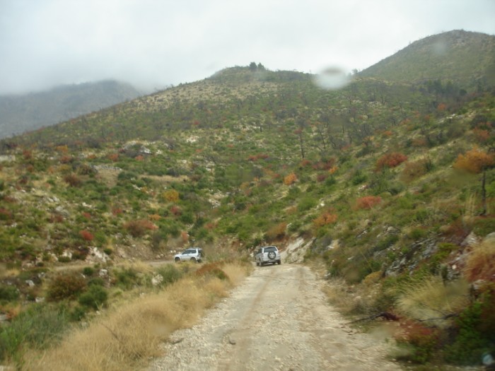 DSC01782.jpg