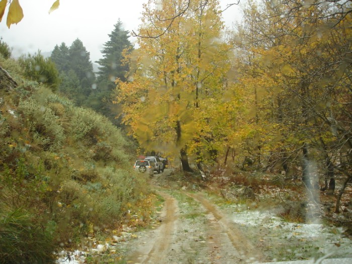 DSC01787.jpg