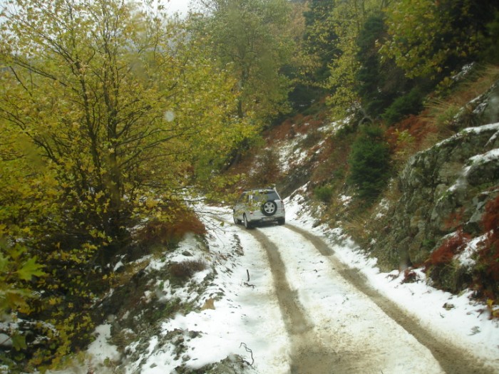DSC01789.jpg