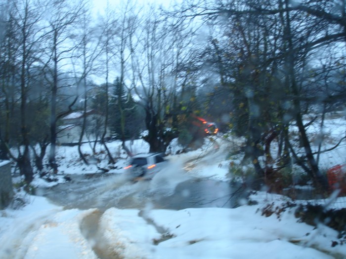 DSC01817.jpg