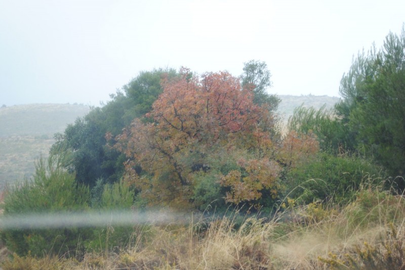 DSC_0854.jpg