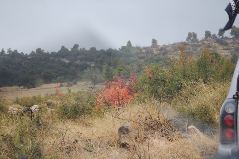DSC_0864.jpg