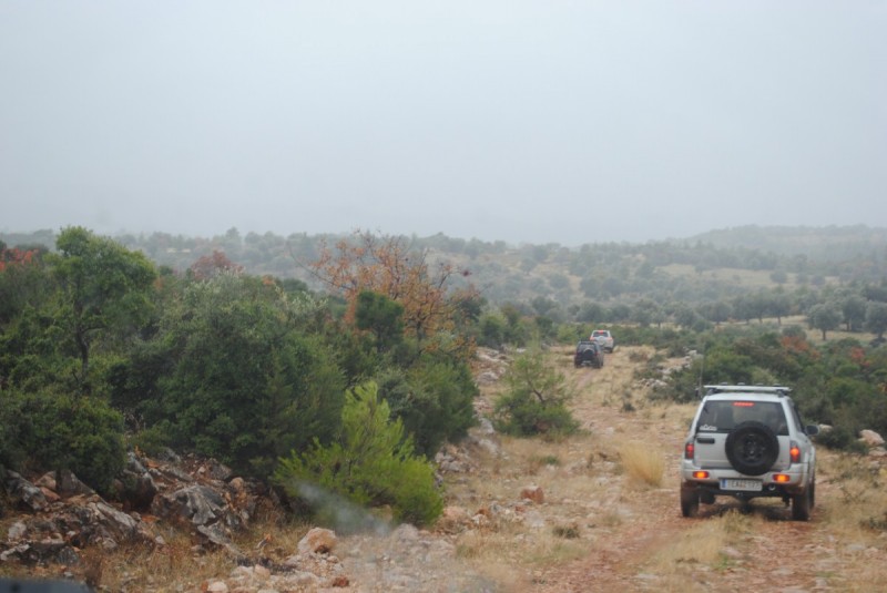 DSC_0871.jpg