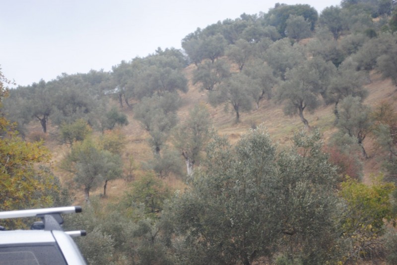 DSC_0892.jpg