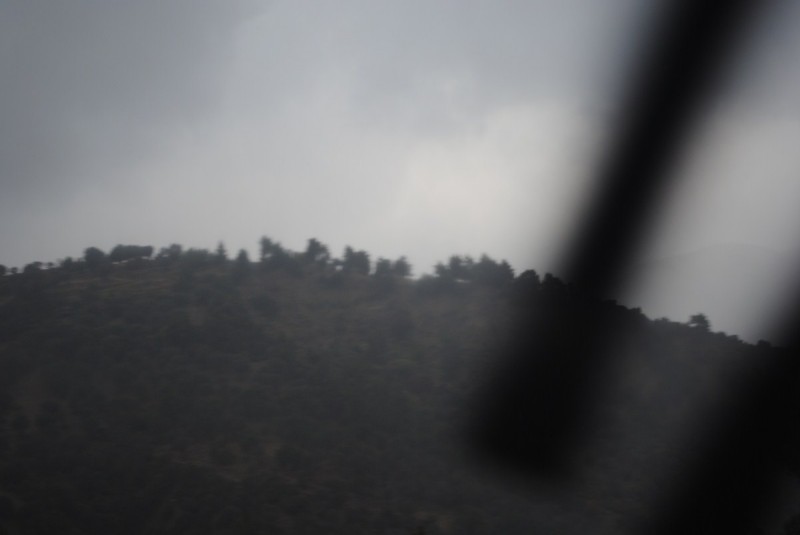 DSC_0895.jpg