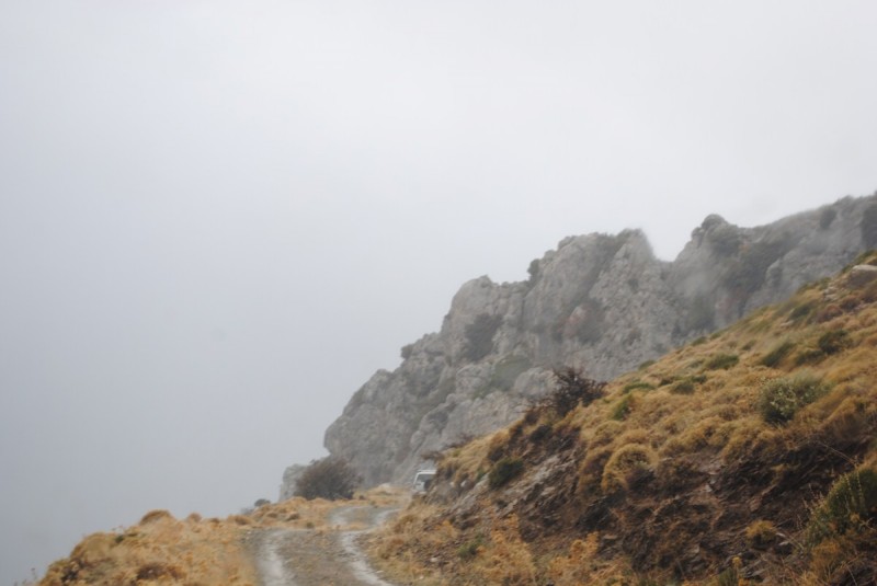 DSC_0903.jpg