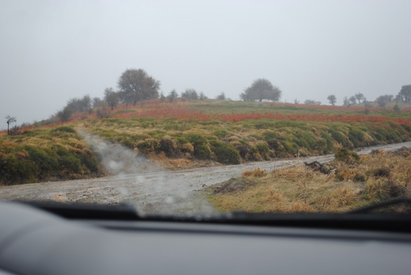 DSC_0906.jpg
