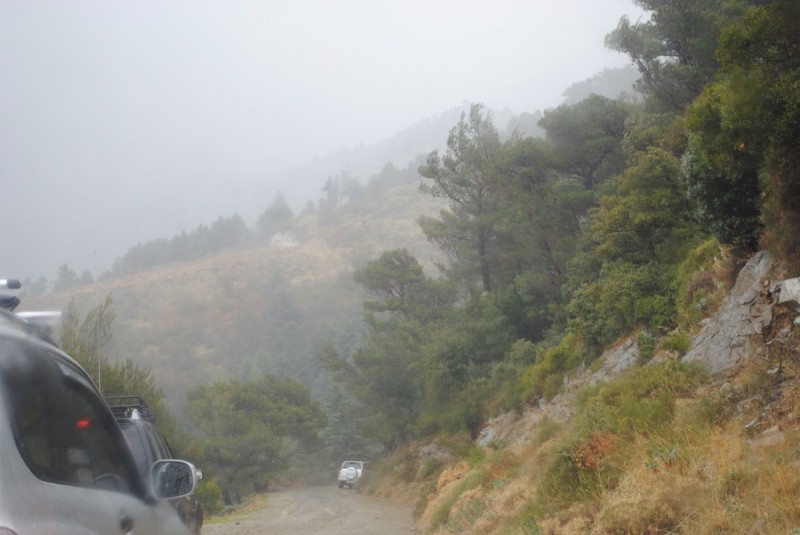 DSC_0914.jpg