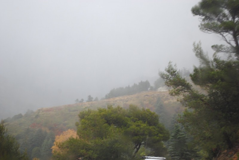 DSC_0915.jpg
