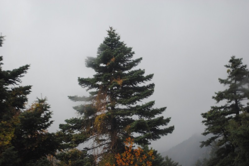 DSC_0921.jpg