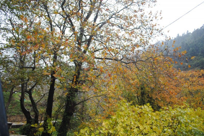 DSC_0939.jpg