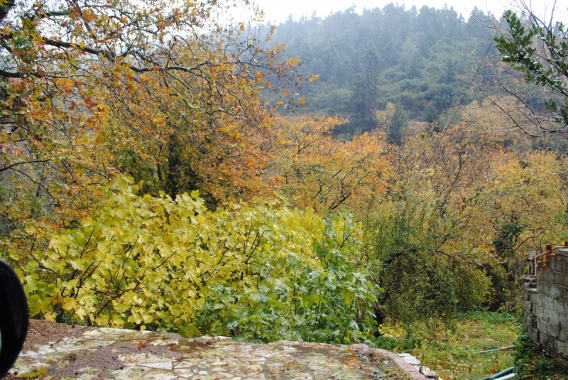 DSC_0940.jpg