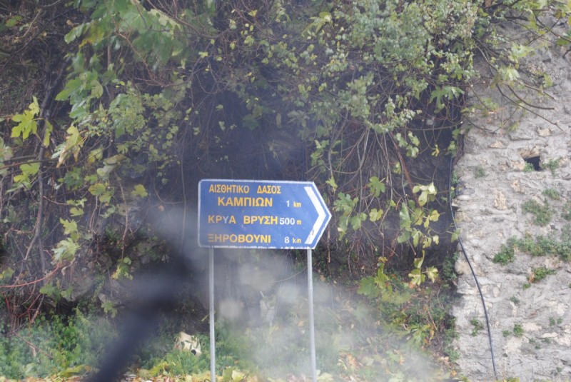DSC_0947.jpg