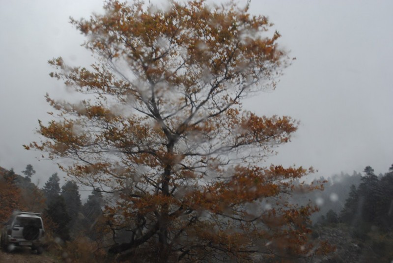DSC_0964.jpg