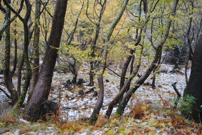 DSC_0973.jpg