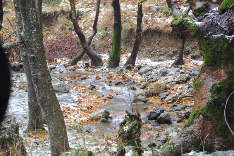 DSC_0975.jpg