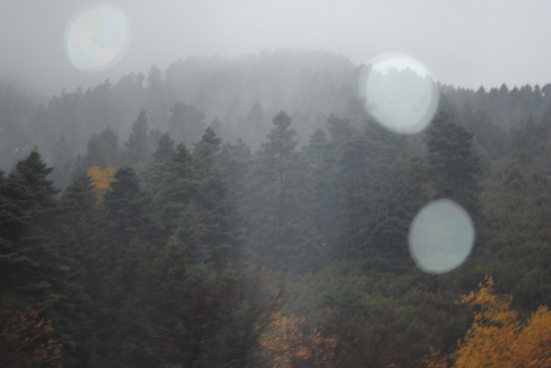 DSC_0987.jpg