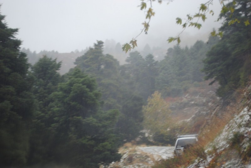 DSC_1002.jpg