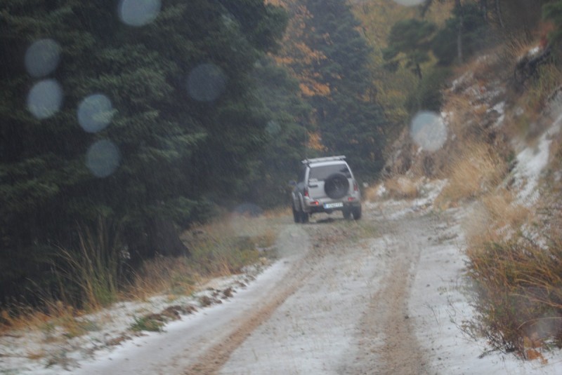 DSC_1006.jpg