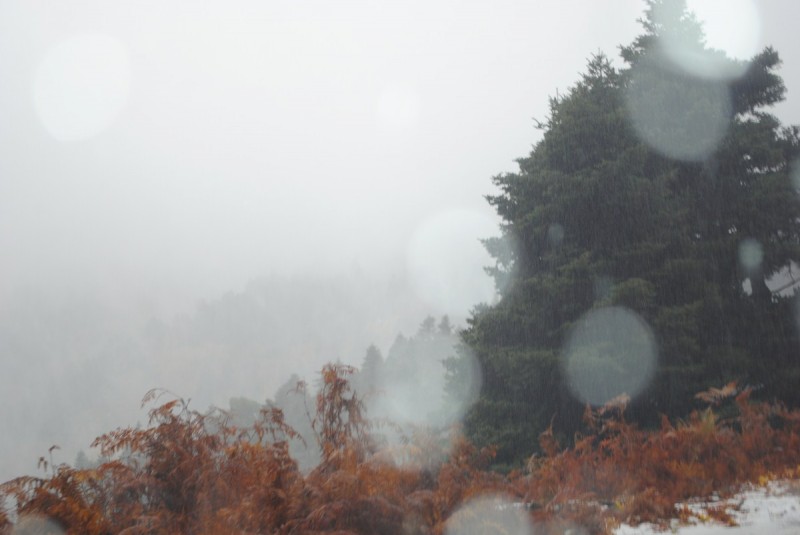 DSC_1012.jpg