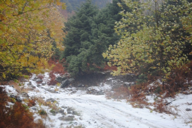 DSC_1021.jpg