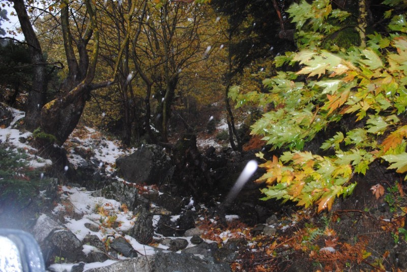DSC_1056.jpg